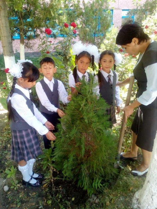 "Бір бала-бір ағаш" ағаш отырғызу акциясы