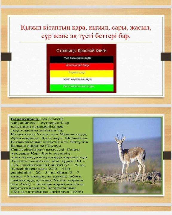 Эко тәрбие сағаты